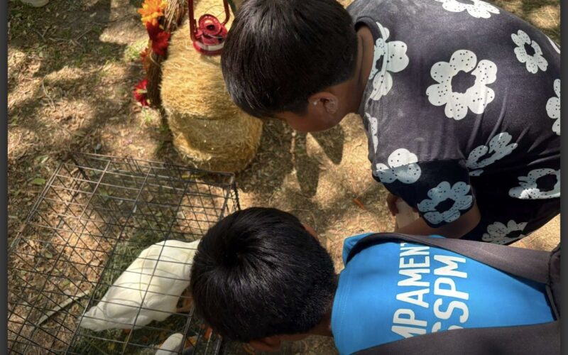 Más de 400 menores disfrutan día de campo en el Campamento de Verano de la SSPM