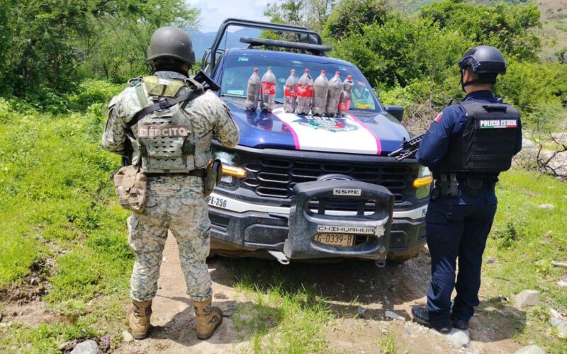 Aseguran 18 kilos de semilla de amapola en Guadalupe y Calvo durante operativo conjunto