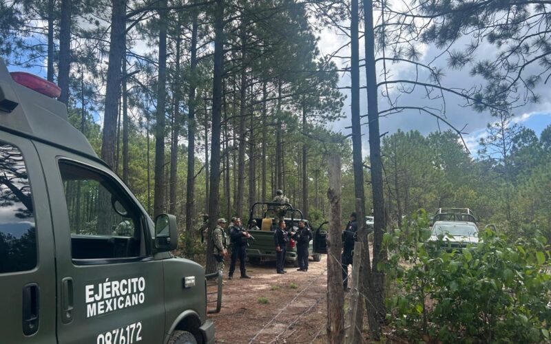 Destruyen dos artefactos explosivos en Guadalupe y Calvo durante operativo conjunto