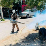 Refuerza Municipio fumigación contra garrapatas