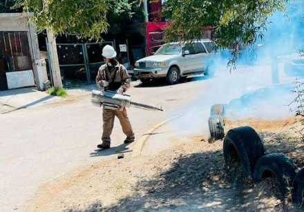 Refuerza Municipio fumigación contra garrapatas